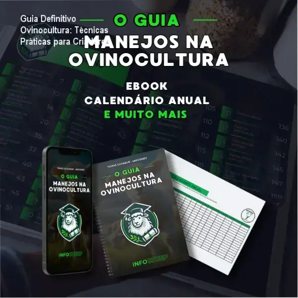 Guia de Manejo na Ovinocultura com planilhas práticas e calendário de atividades para criadores