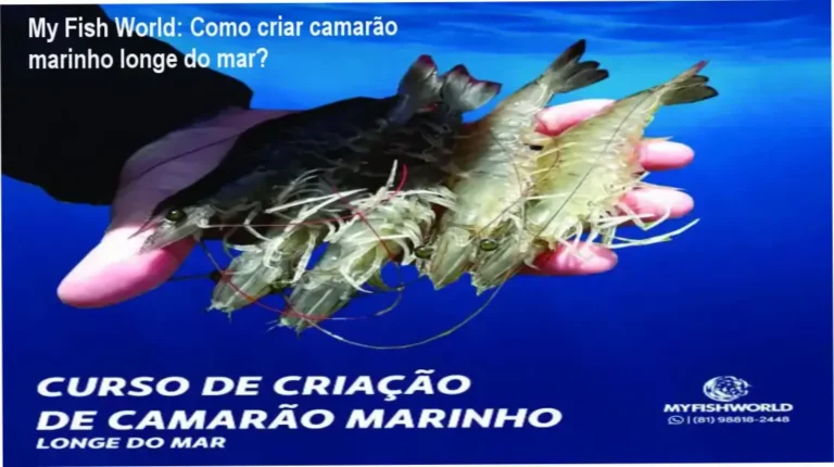 Visão geral do curso My Fish World sobre criação de camarão marinho em ambiente interior