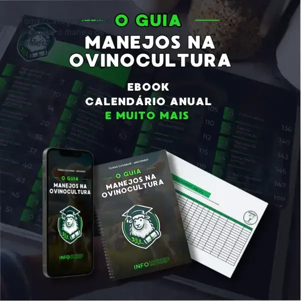 Autor Tomaz Cavagnari segurando o e‑book de manejo de ovinos ao lado das planilhas de controle de rebanho