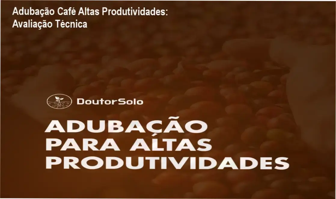 Adubação Café Altas Produtividades: visão interna da metodologia de nutrição vegetal